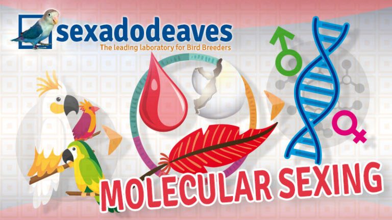 molecular-sexing